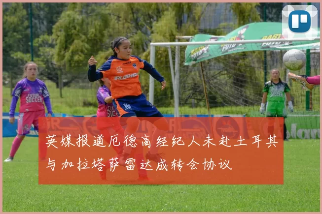英媒报道厄德高经纪人未赴土耳其与加拉塔萨雷达成转会协议